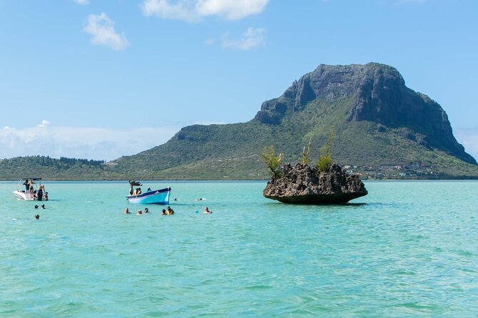 Exciting Dolphin encounters in the Maurtius's lagoon - Watching dolphins around Mauritius