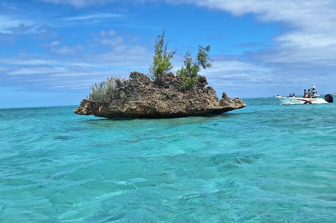 Exciting Dolphin encounters in the Maurtius's lagoon - Is $58.07 good value for two hours?