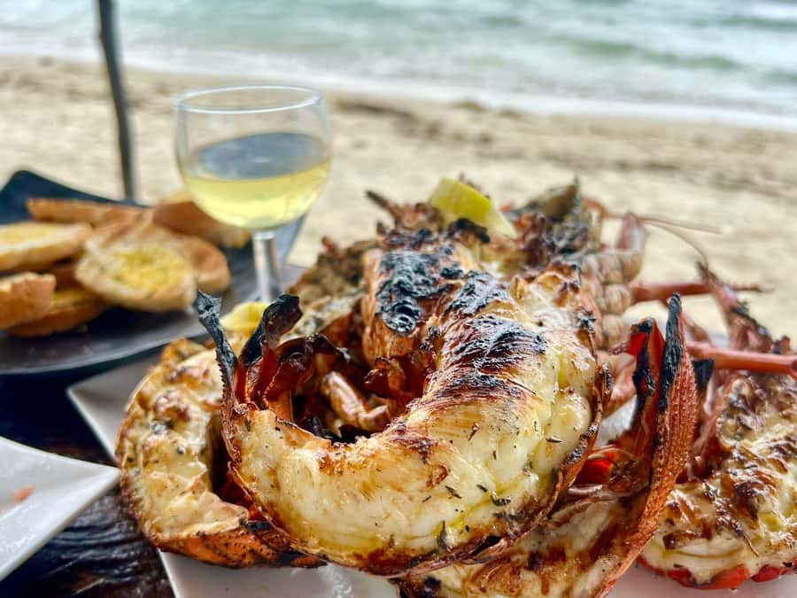 Exclusive:full-day/Dolphins watch& swimming Crystal Rock+Bbq - Key points to know before booking