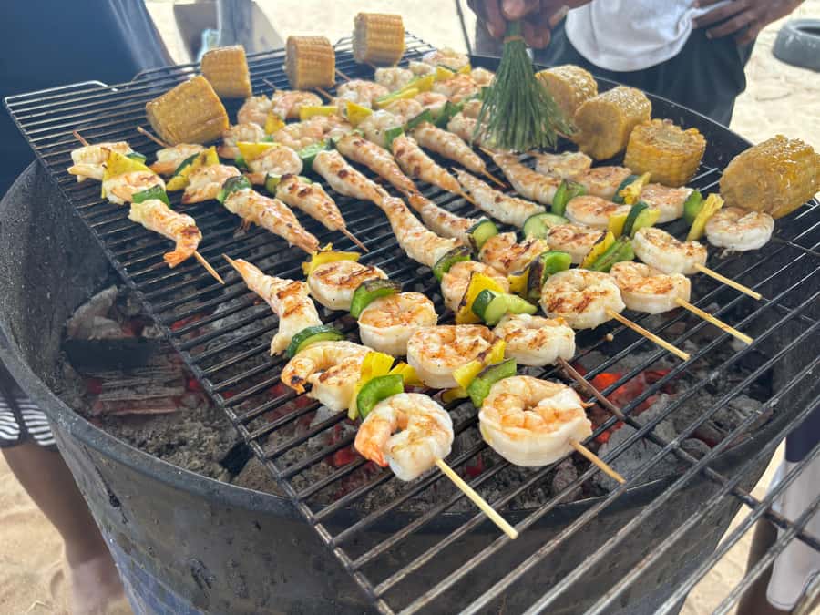 Exclusive:full-day/Dolphins watch& swimming Crystal Rock+Bbq - Watching wild dolphins with care