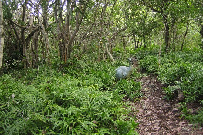 Exotic East of Mauritius: Full-day incl Ile aux Aigrette & Blue-Bay Marine Park - Lunch and the Mahebourg Museum
