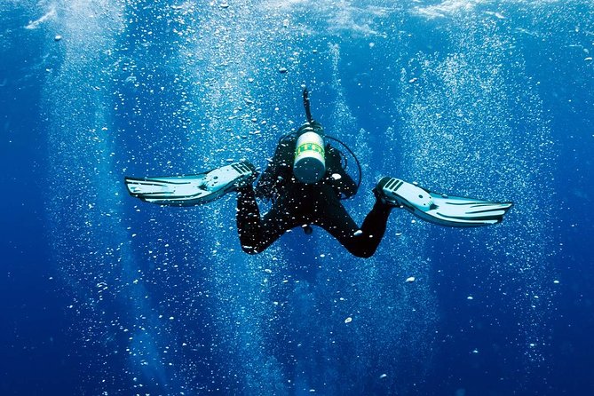 Exploration dives - Mauritius below the surface: what makes this coast different