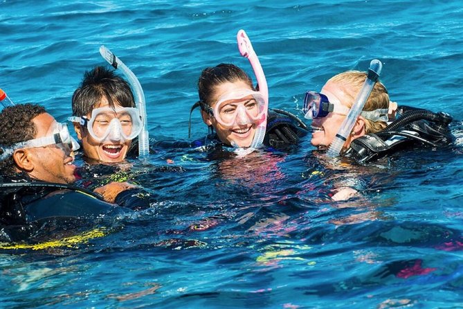 Exploration dives - The two-hour plan, from fitting equipment to cleanup
