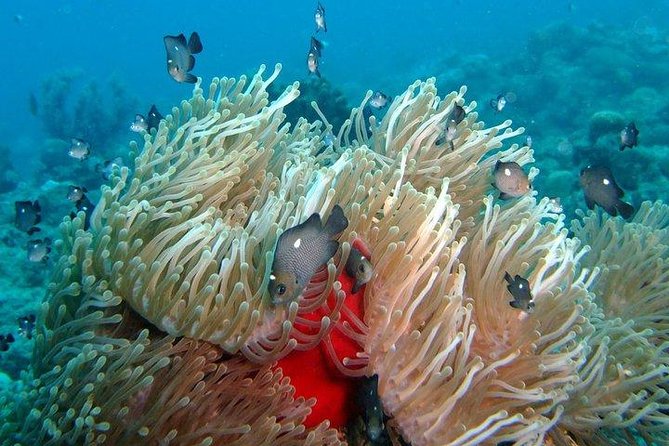 Exploration dives for experienced divers - Why the seven-person limit matters
