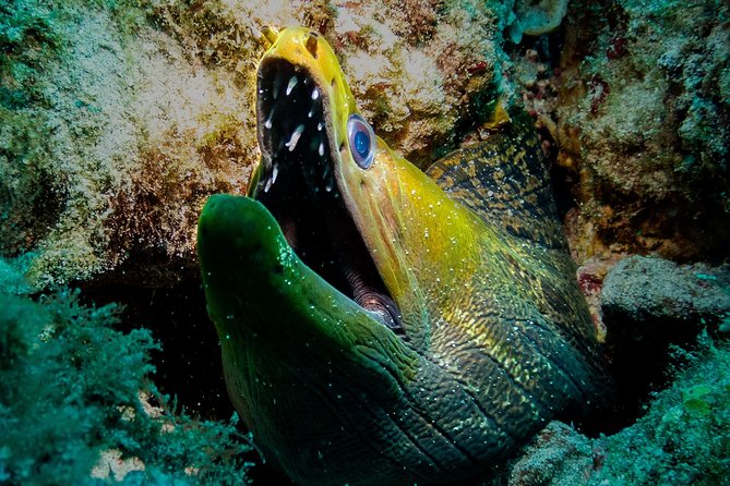 Exploration dives for experienced divers - Weather can change the plan
