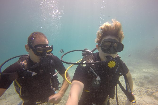 Exploration dives - Choosing between reefs, rock formations, and wreck sites