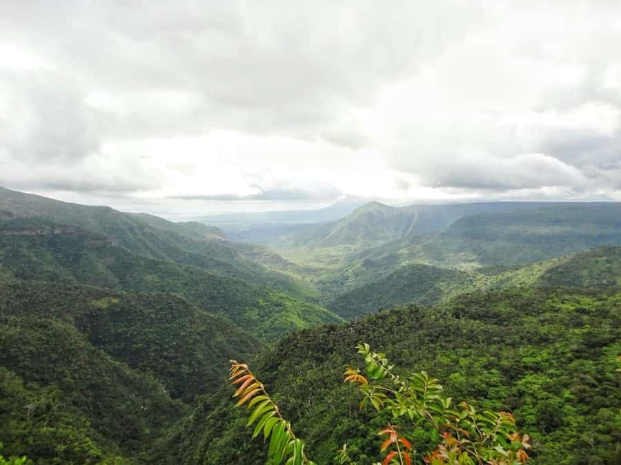 Explore the Southwest with Local Lunch & Rum Tasting - How much value do you get for $157?