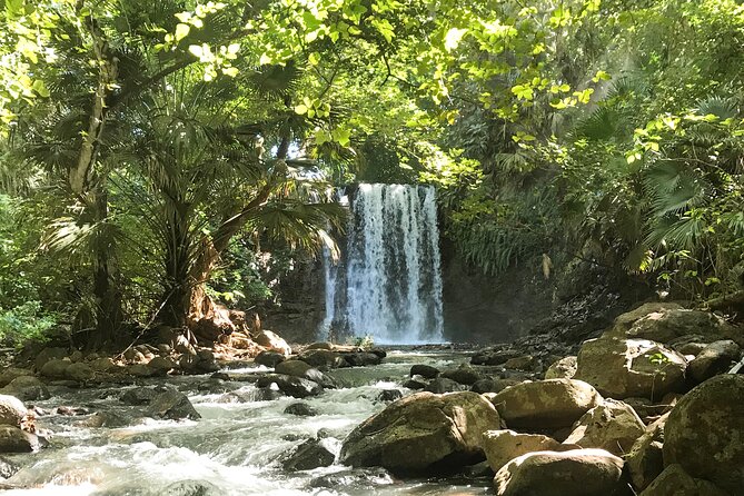 Explore The Wild South - Flora, Fauna, and the Value of Going With a Guide