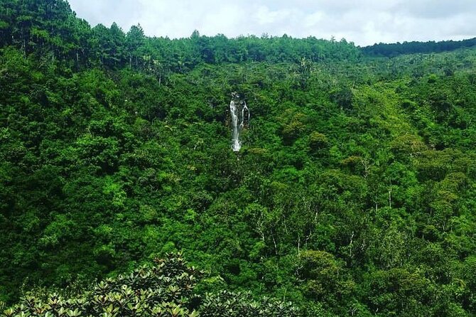 Fascinating Nature Tour Incl Ebony Forest, 7 Coloured Earth,Lunch - Trou aux Cerfs gives you a volcanic beginning