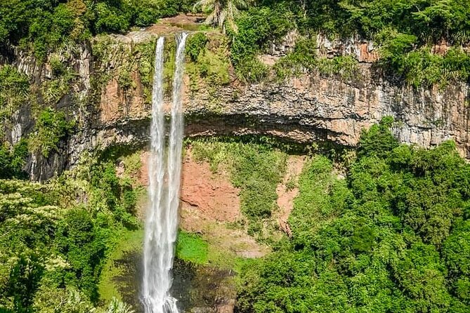 Fascinating Nature Tour Incl Ebony Forest, 7 Coloured Earth,Lunch - Ebony Forest is the tour’s strongest nature stop