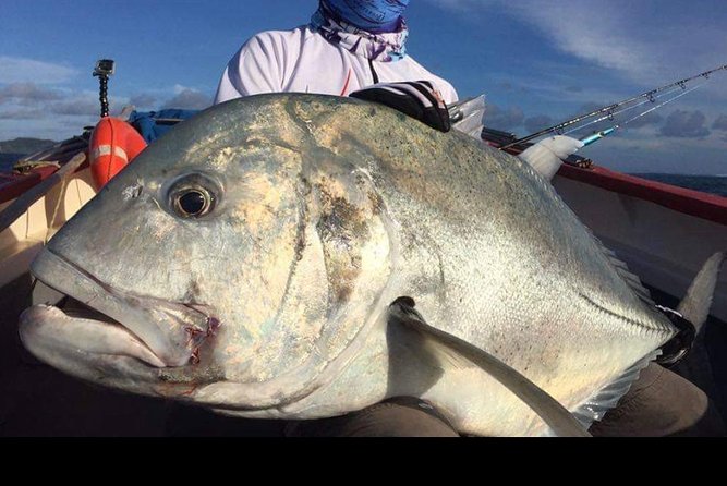 Fishing Trips. Popping, jigging, big game, live bait - Chasing giant trevally around Rodrigues
