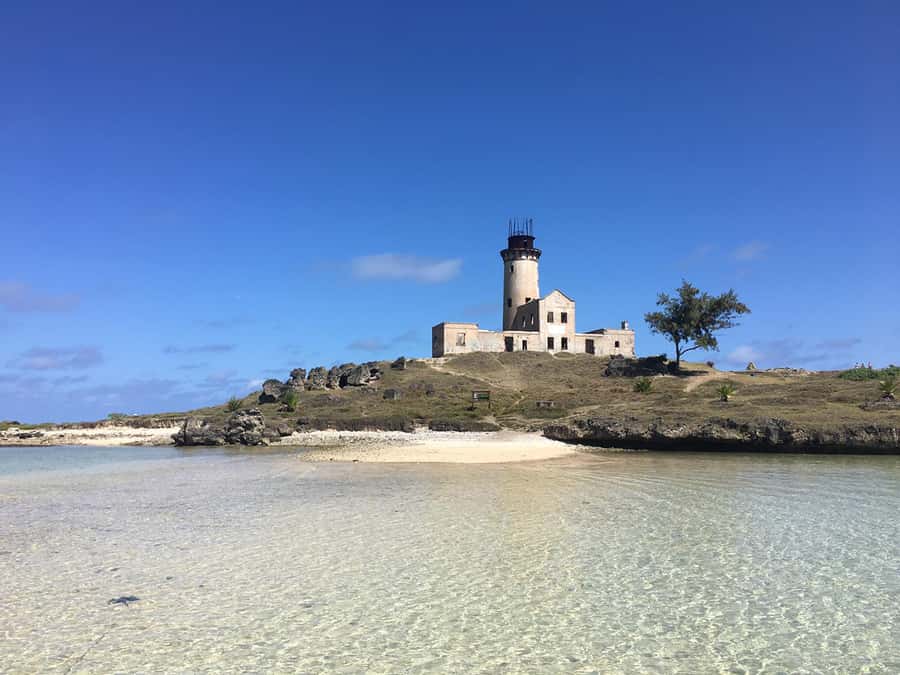 From Blue Bay: Ile aux Cerfs Speedboat Excursion with BBQ - Who will enjoy this Mauritius day trip