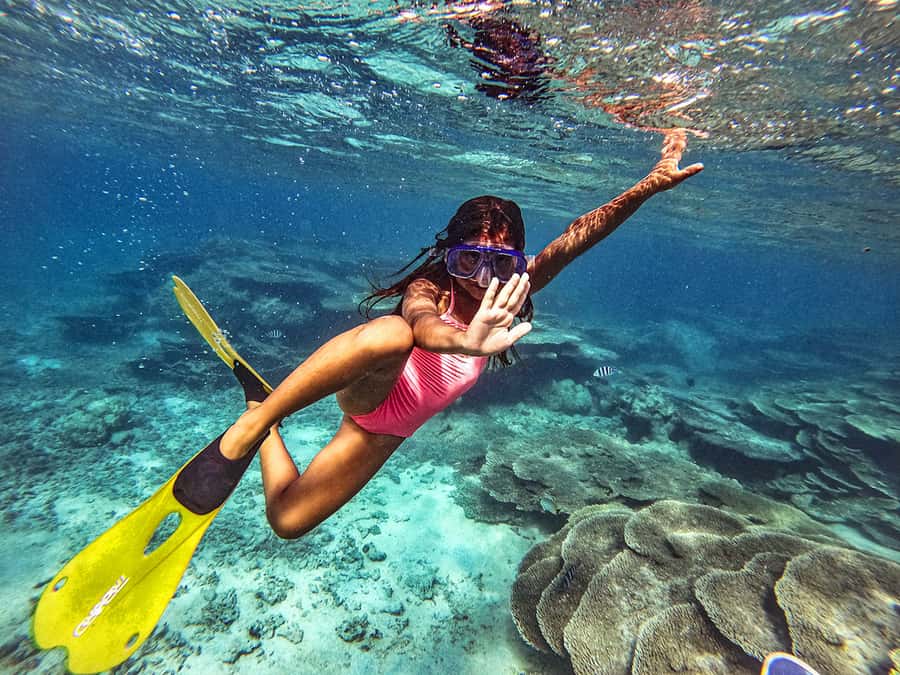 From Blue Bay: Ile aux Cerfs Speedboat Excursion with BBQ - A scenic run past Point d’Esny and Mahebourg