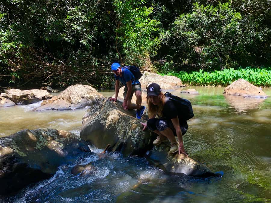 From Chamarel: Waterfall Eco-Hike Adventure - Key points to know before booking