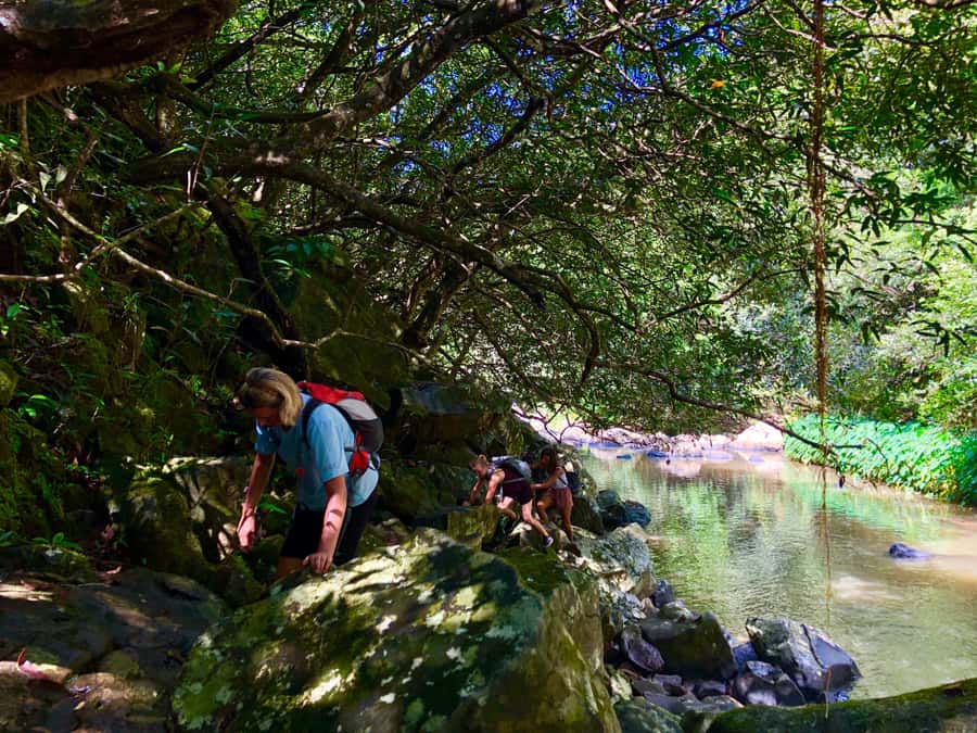 From Chamarel: Waterfall Eco-Hike Adventure - Reaching Chamarel Falls from below