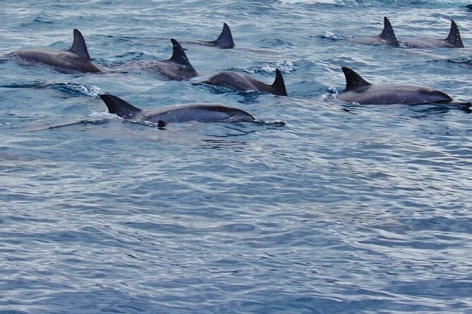 Full Day at Ile Des Deux Cocos - A local buffet at midday