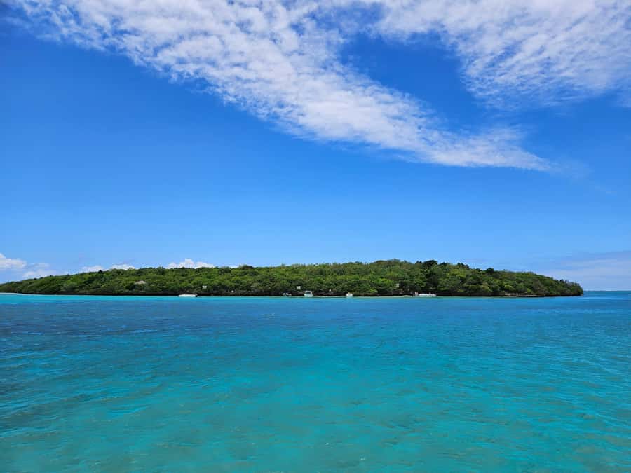FULL-DAY CATASPEED - East Lagoon cruise including transfer. - Who will enjoy this cruise most?