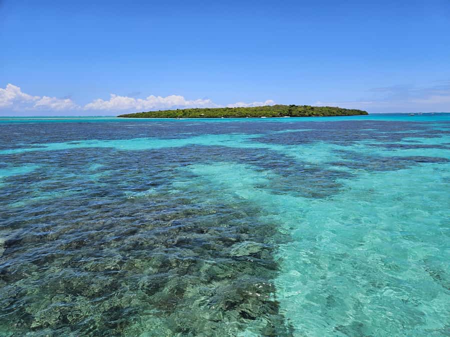 FULL-DAY CATASPEED - East Lagoon cruise including transfer. - BBQ lunch and drinks on Ile Aux Margenie