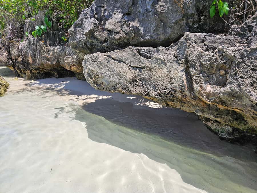 FULL-DAY CATASPEED - East Lagoon cruise including transfer. - Grand River South East Waterfall and local wildlife