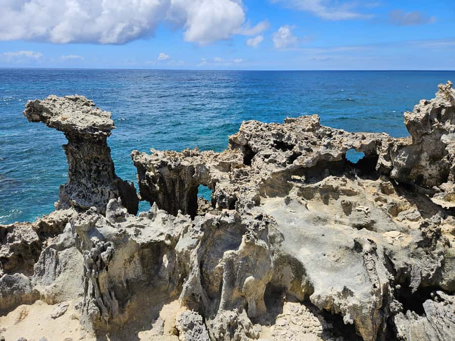 FULL-DAY CATASPEED - East Lagoon cruise including transfer. - Speedboat comfort versus catamaran calm
