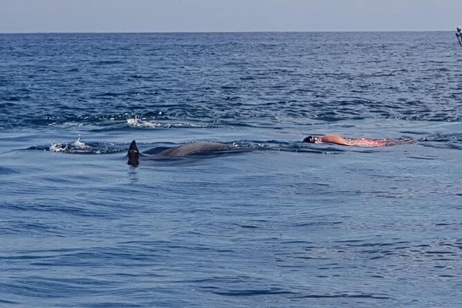 Full-Day Dolphin Watching Cruise in Mauritius - Who will enjoy this boat day most