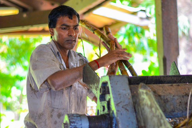Full Day Guided Tea Route Mauritius: Including Lunch - A full day on Mauritius’s tea route