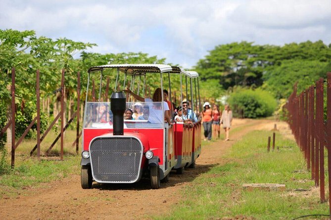 Full-Day North Tour of Mauritius, ALL INCLUSIVE Day Trip, Private SUV Car, Guide - Grand Baie shopping, with a passport in your pocket