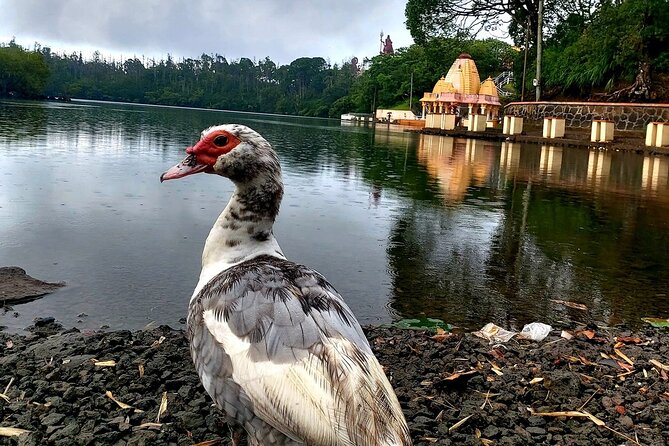 Full Day Private car only Guided SOUTH WEST of Mauritius - Grand Bassin, Mauritius’s sacred lake