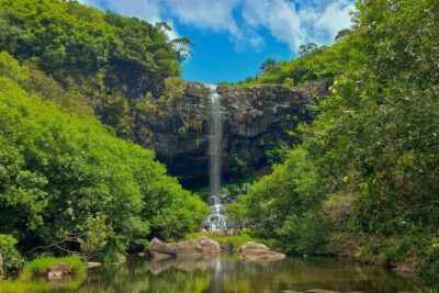 Full Day Private car only Guided SOUTH WEST of Mauritius