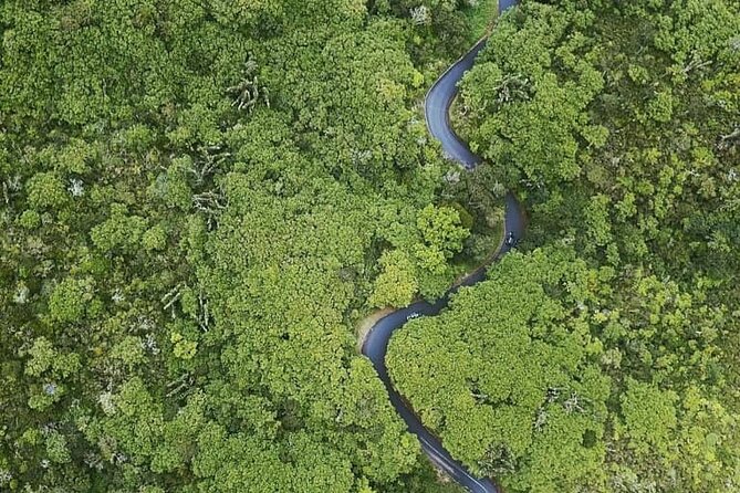 Full Day Private car only Guided SOUTH WEST of Mauritius - The Black River Gorges viewpoint and the road change