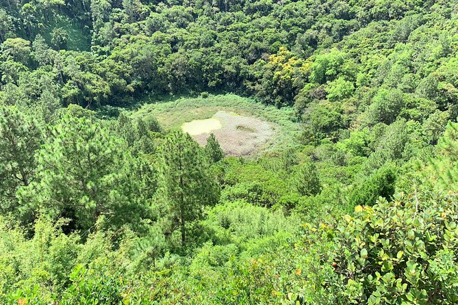 Full Day Private custom Tour with Drive-Guide in Mauritius - How the custom planning works on the road