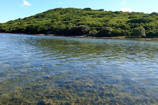 Full-Day Private Hiking le Morne Mountain & Seafood Lunch at Islet Fourneau - The upper climb and Le Morne’s difficult past