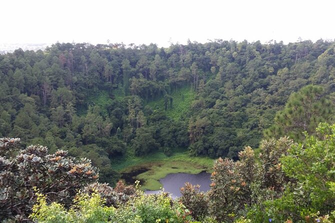 Full Day Private Tour in South of Mauritius - Alexandra Falls and the Black River Gorges