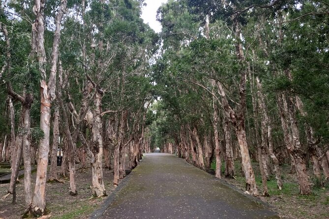 Full Day Private Tour in South of Mauritius - Grand Bassin and the meaning of the sacred lake