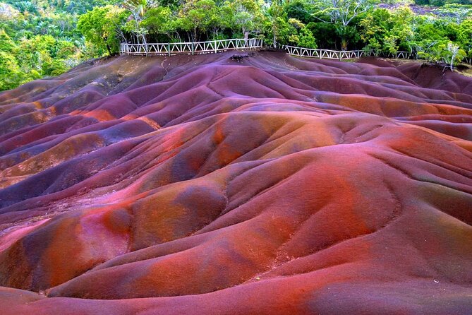 Full Day Private Tour in South of Mauritius - Curepipe and Floreal for a more ordinary side of the island