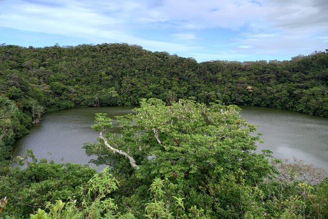 Full Day Private Tour in South of Mauritius - Price, timing, and what you actually receive