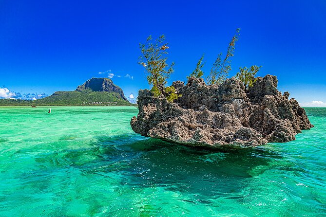 Full day Shared Speedboat Tour - South West Lagoon Dolphin Swim - Four hours on Ile aux Benitiers