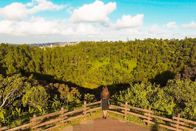 Full-Day South Tour of Mauritius, ALL INCLUSIVE Day Trip, Private SUV Car, Guide - Trou aux Cerfs and the view over Curepipe