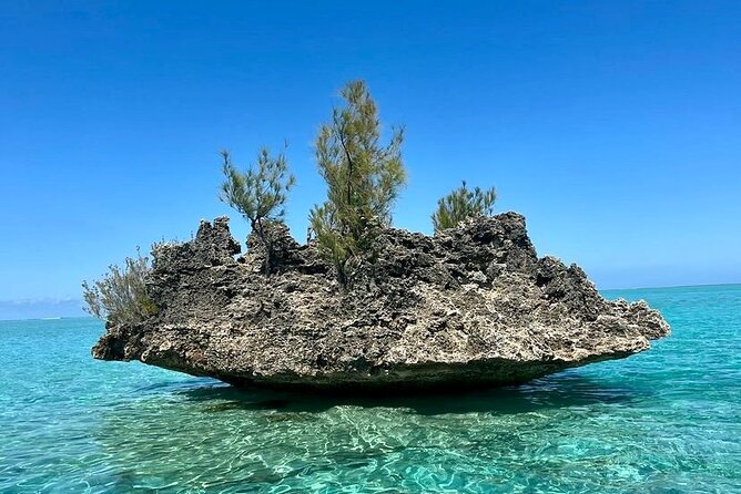 Fully Day Tour: Dolphin Encounters, Crystal Rock at Benitiers Island - What the small group really means