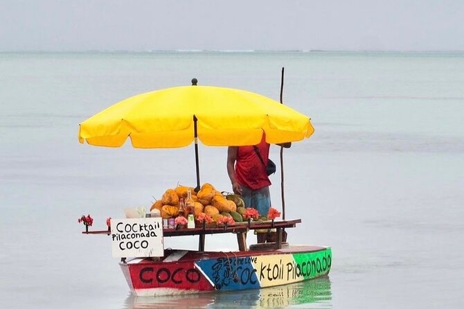 Fully Day Tour: Dolphin Encounters, Crystal Rock at Benitiers Island - Weather, cancellations, and backup plans