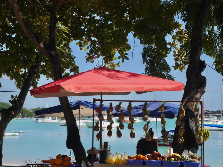 Grand Baie: Coastal Cuisine & Culture Walking Tour - The first café and the taste of the North Coast