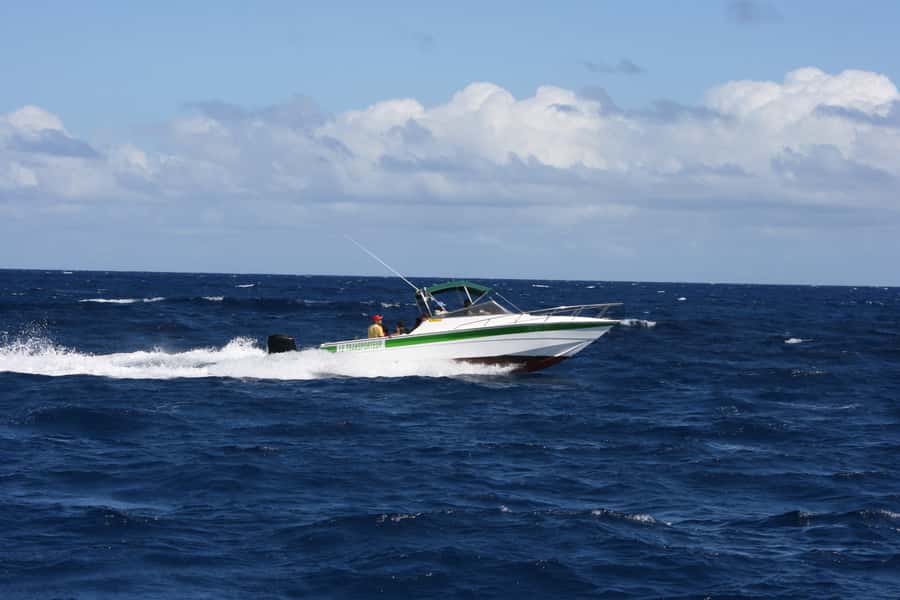 Grand Baie: Three Islands Private Boat Trip and Beach BBQ - Snorkeling at Coin de Mire