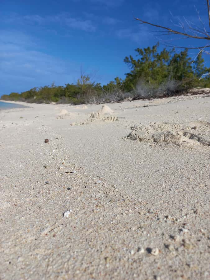 Grand Baie: Three Islands Private Boat Trip and Beach BBQ - Booking details worth checking first