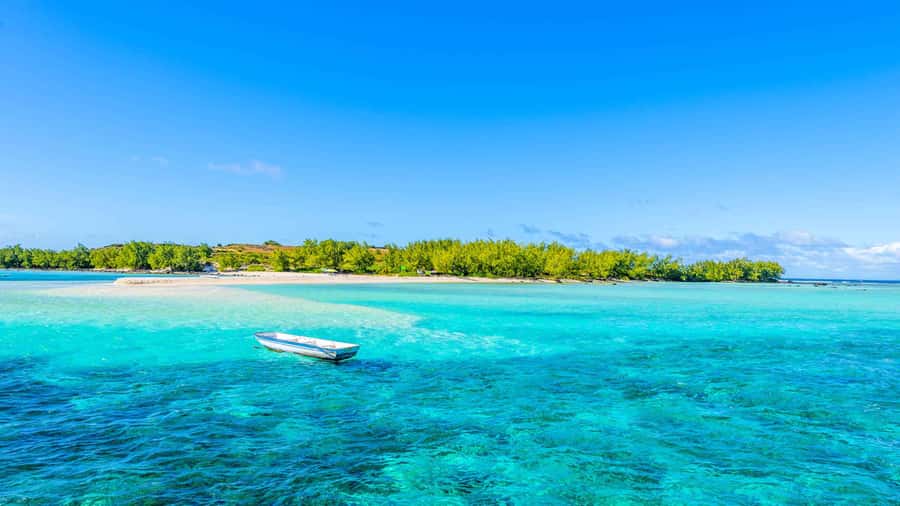 Grand Bay: Catamaran Cruise to Flat Island with BBQ Lunch - Snorkeling near Coin de Mire
