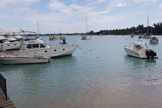 Grand Bay Food Tour - Is $75.49 a fair price?