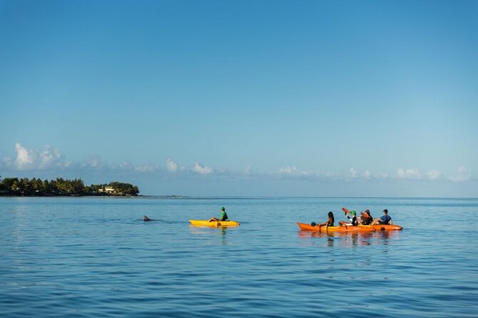 Guided Kayak 2-Hour Activity with Dolphins - Paddling toward the dolphins