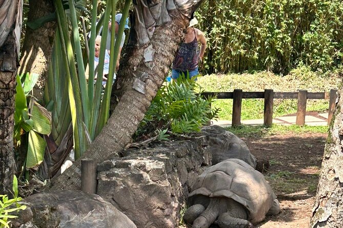 Guided South west Tour - Grand Bassin: Mauritius’s sacred lake