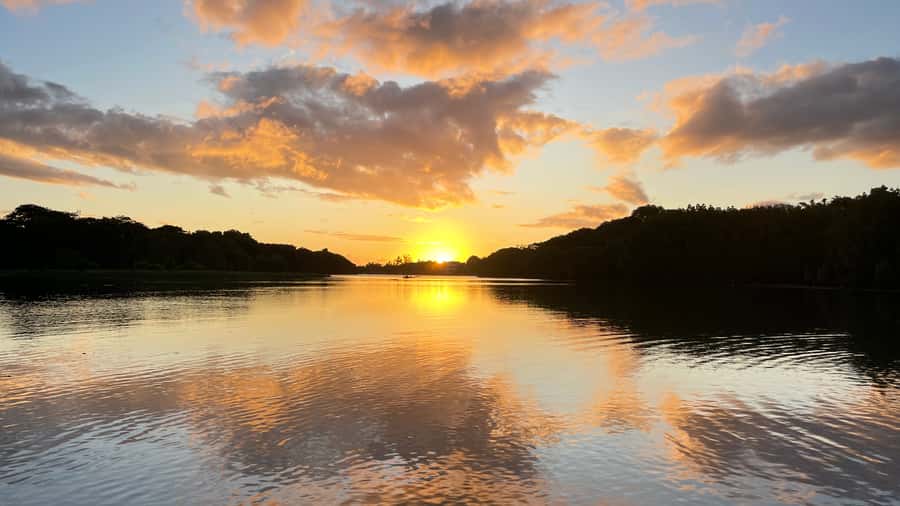 Guided Sundowner Kayak Tour - Practical ways to make the evening better