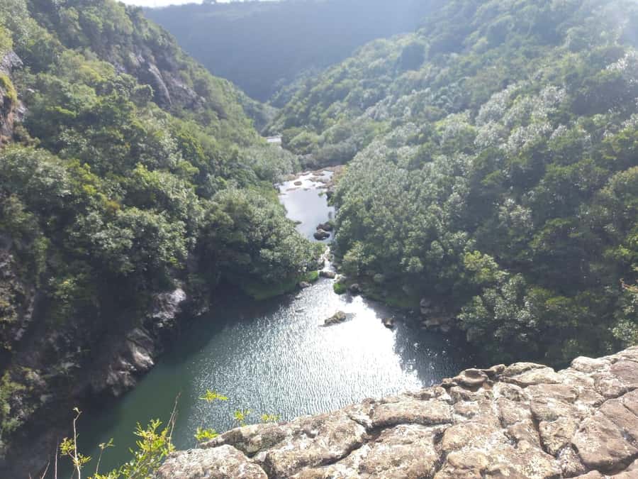 Henrietta: Hiking at the Tamarind Waterfalls - Following the river into thick tropical growth