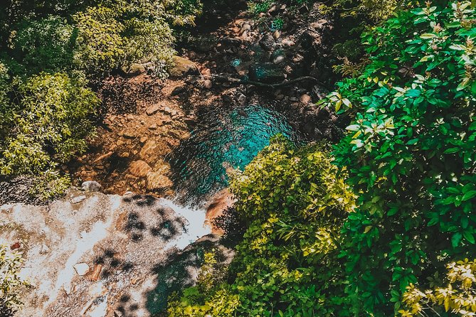 Hiking in the Black River Gorges National Parc - Native Forest - The Black River stop and the question of swimming